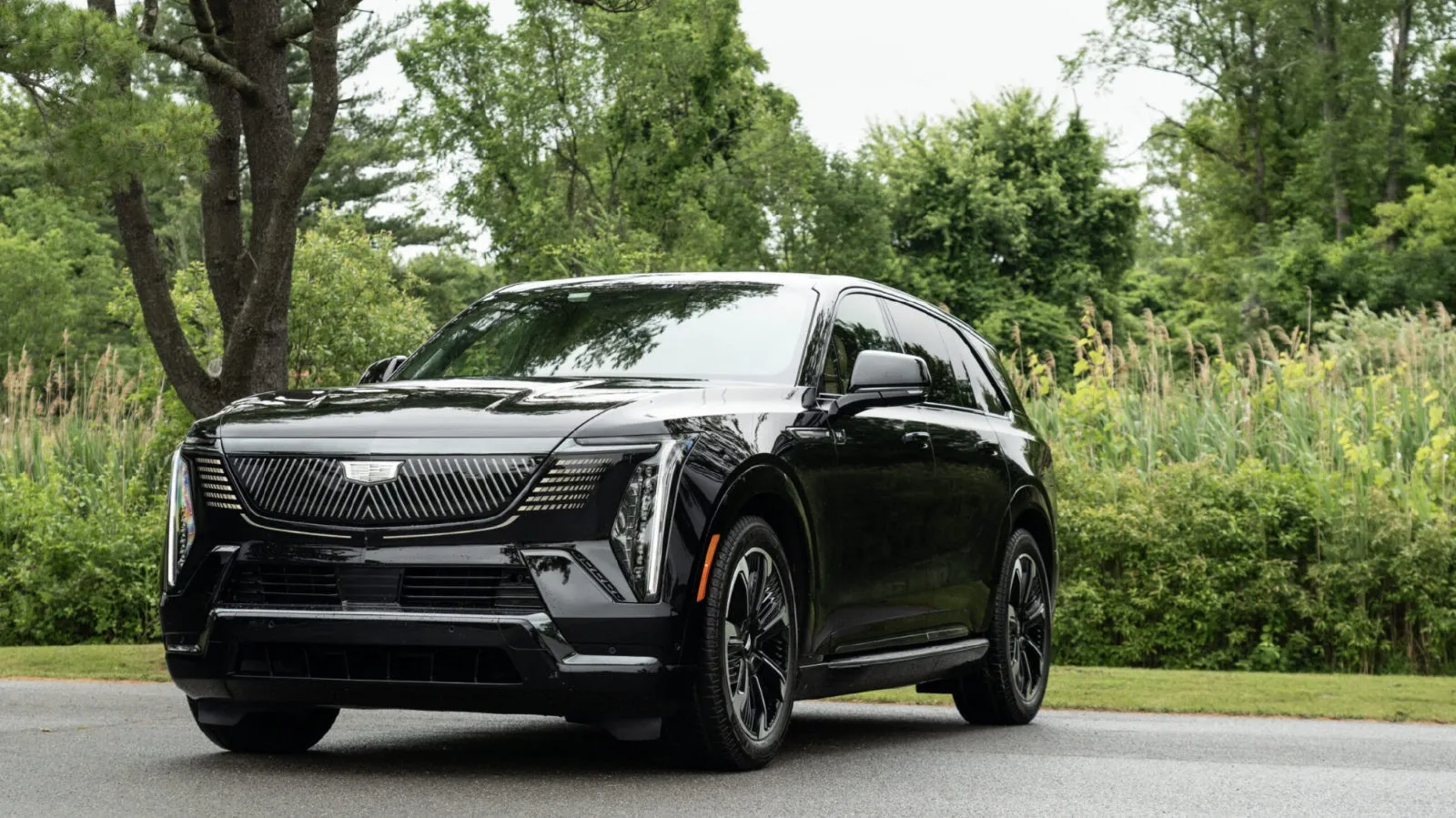 ELECTRIC SUV image 2